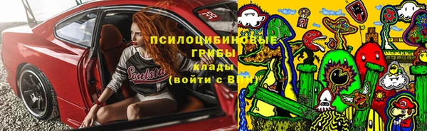 тгк Аркадак