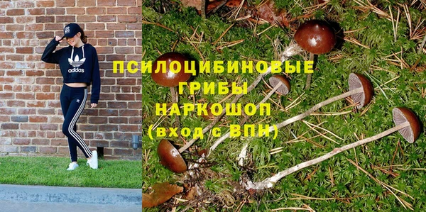 мет Арсеньев